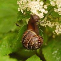 Портфолио Морозова Екатерина 